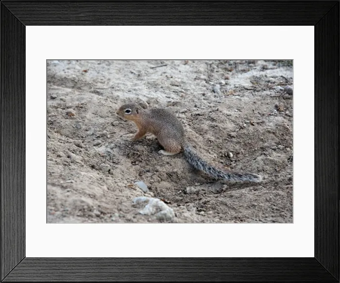 Framed Print : Picture No. 10895708 Framed Print : Picture No. 10895708