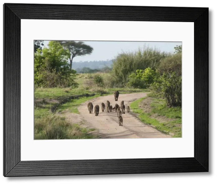 Framed Print : Picture No. 10895727 Framed Print : Picture No. 10895727