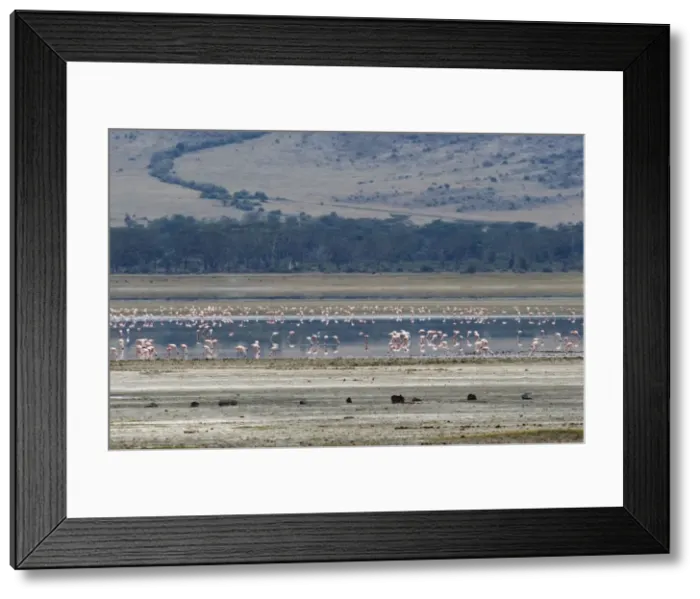 Framed Print : Picture No. 10895752 Framed Print : Picture No. 10895752