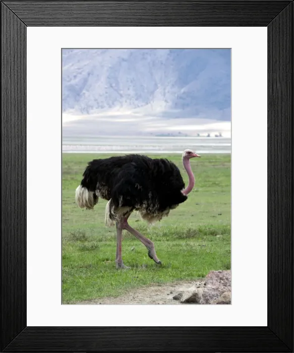Framed Print : Picture No. 10895754 Framed Print : Picture No. 10895754