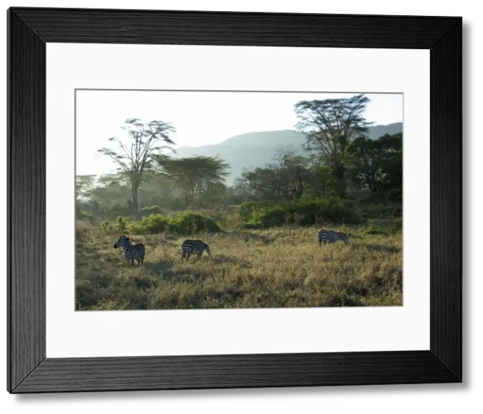Framed Print : Picture No. 10895753 Framed Print : Picture No. 10895753