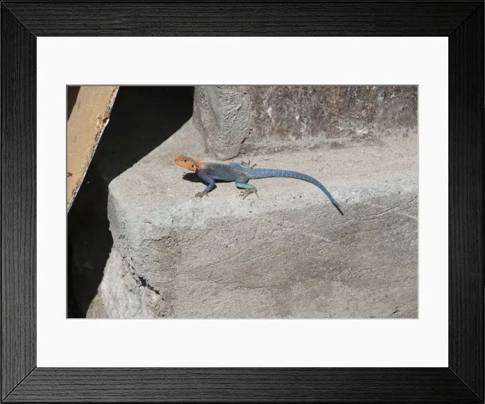 Framed Print : Picture No. 10895764 Framed Print : Picture No. 10895764