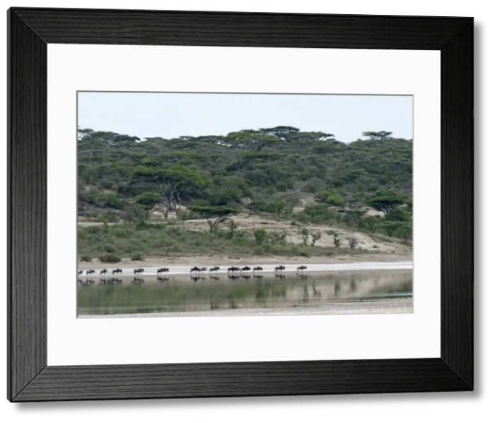 Framed Print : Picture No. 10895765 Framed Print : Picture No. 10895765