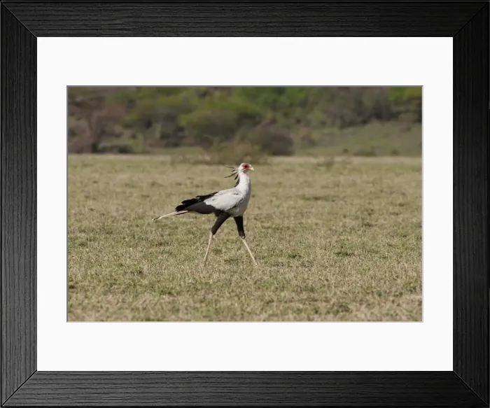 Framed Print : Picture No. 10895763 Framed Print : Picture No. 10895763