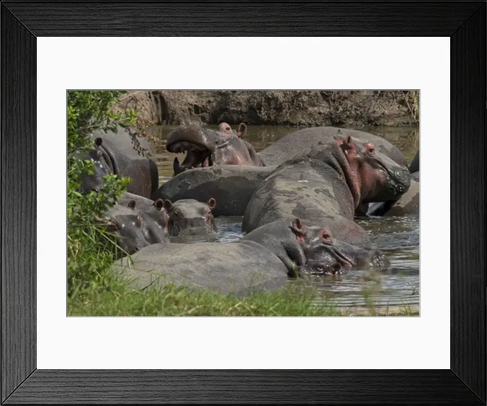 Framed Print : Picture No. 10895773 Framed Print : Picture No. 10895773