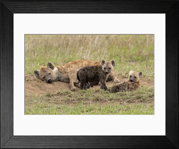Framed Print : Picture No. 10895791 Framed Print : Picture No. 10895791