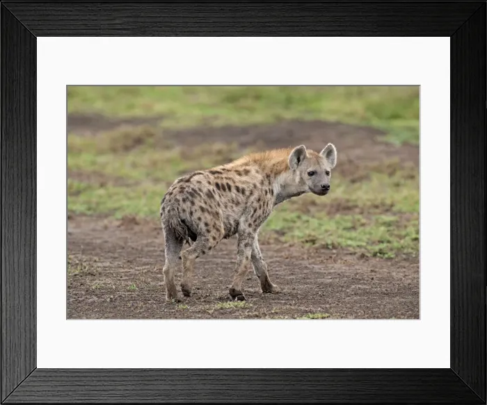 Framed Print : Picture No. 10895792 Framed Print : Picture No. 10895792