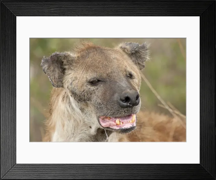 Framed Print : Picture No. 10895790 Framed Print : Picture No. 10895790