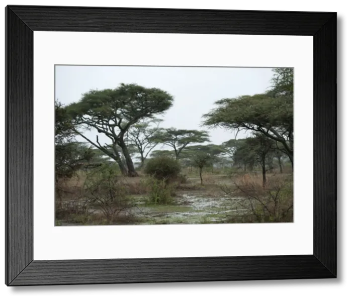 Framed Print : Picture No. 10895806 Framed Print : Picture No. 10895806