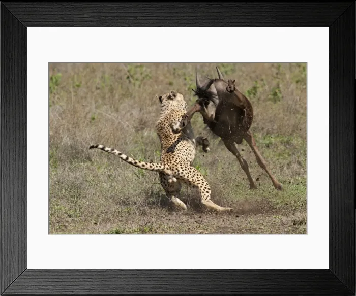 Framed Print : Picture No. 10895825 Framed Print : Picture No. 10895825