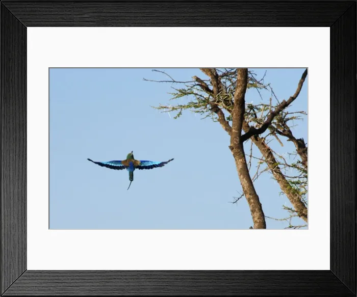 Framed Print : Picture No. 10895834 Framed Print : Picture No. 10895834