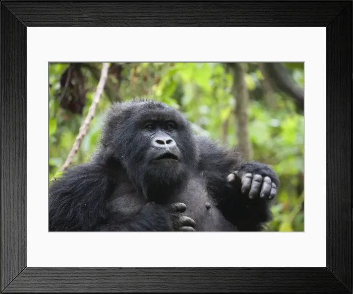 Framed Print : Picture No. 10895899 Framed Print : Picture No. 10895899