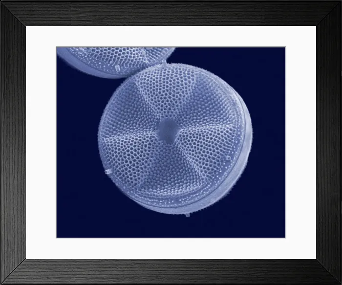 Framed Print : Picture No. 10895910 Framed Print : Picture No. 10895910