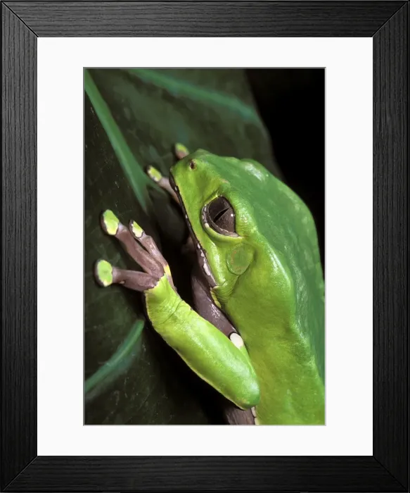 Framed Print : Picture No. 10895936 Framed Print : Picture No. 10895936