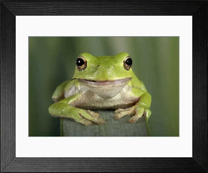 Framed Print : Picture No. 10895949 Framed Print : Picture No. 10895949
