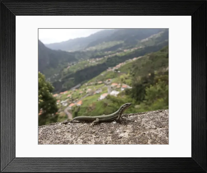 Framed Print : Picture No. 10895959 Framed Print : Picture No. 10895959