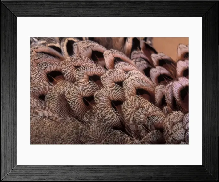 Framed Print : Picture No. 10895961 Framed Print : Picture No. 10895961