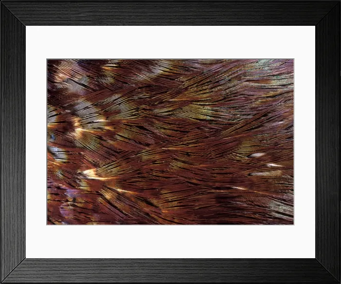 Framed Print : Picture No. 10895960 Framed Print : Picture No. 10895960