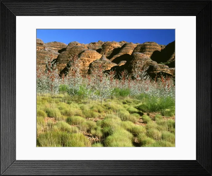 Framed Print : Picture No. 10766158 Framed Print : Picture No. 10766158