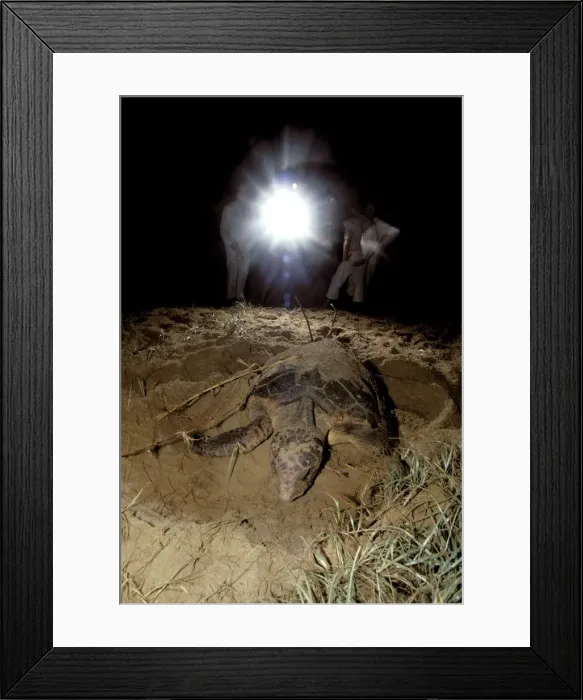 Framed Print : Picture No. 10766449 Framed Print : Picture No. 10766449