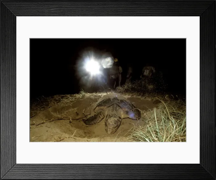 Framed Print : Picture No. 10766448 Framed Print : Picture No. 10766448