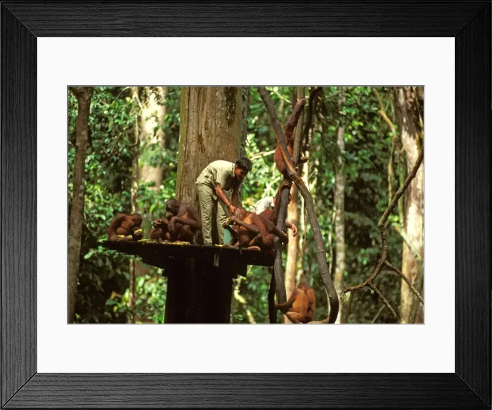 Framed Print : Picture No. 10766512 Framed Print : Picture No. 10766512