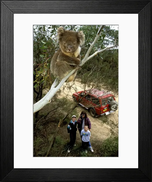 Framed Print : Picture No. 10766559 Framed Print : Picture No. 10766559