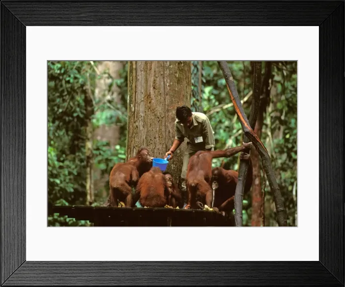 Framed Print : Picture No. 10766513 Framed Print : Picture No. 10766513