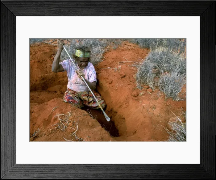 Framed Print : Picture No. 10766639 Framed Print : Picture No. 10766639