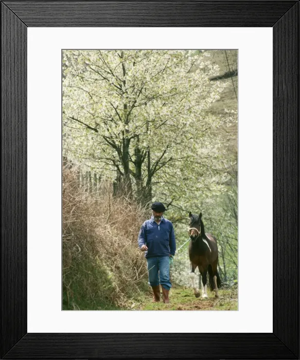 Framed Print : Picture No. 10766674 Framed Print : Picture No. 10766674