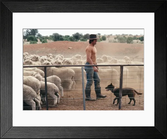 Framed Print : Picture No. 10766684 Framed Print : Picture No. 10766684