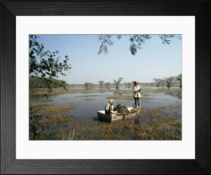 Framed Print : Picture No. 10766689 Framed Print : Picture No. 10766689