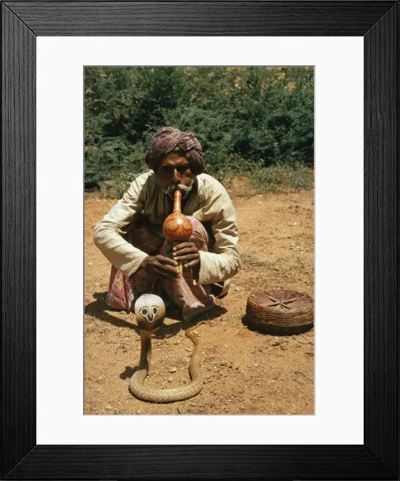 Framed Print : Picture No. 10766846 Framed Print : Picture No. 10766846