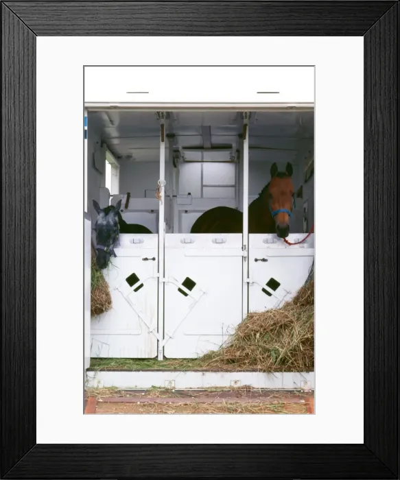 Framed Print : Picture No. 10766838 Framed Print : Picture No. 10766838
