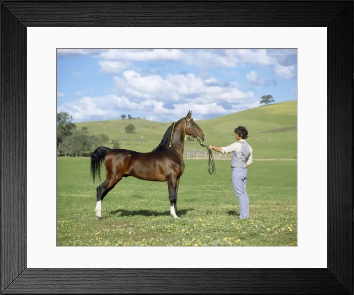 Framed Print : Picture No. 10766859 Framed Print : Picture No. 10766859