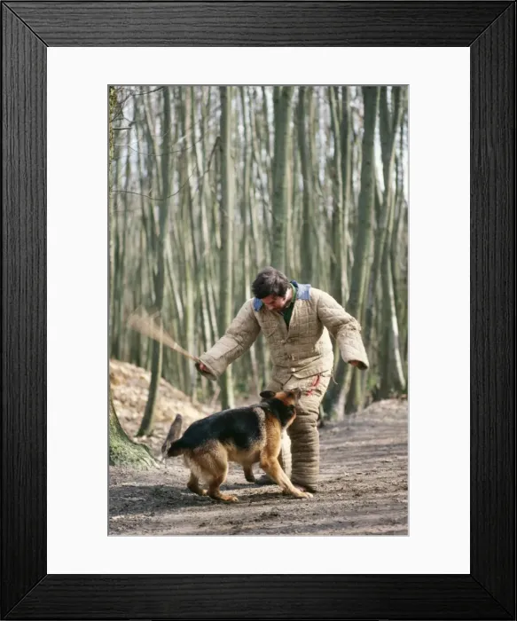 Framed Print : Picture No. 10766812 Framed Print : Picture No. 10766812