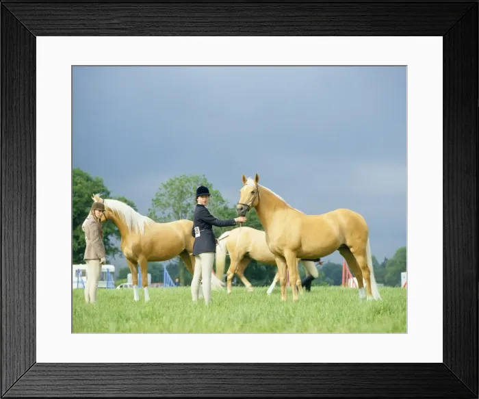 Framed Print : Picture No. 10766855 Framed Print : Picture No. 10766855