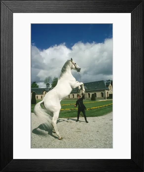 Framed Print : Picture No. 10766843 Framed Print : Picture No. 10766843