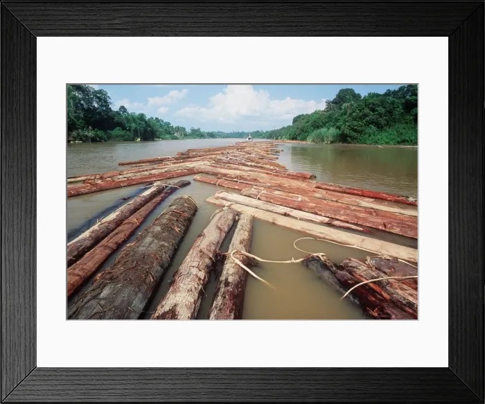 Framed Print : Picture No. 10767006 Framed Print : Picture No. 10767006