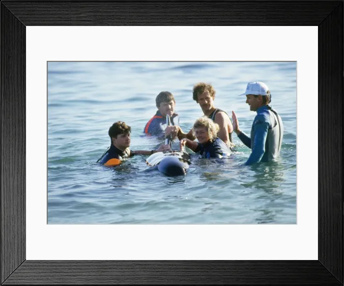 Framed Print : Picture No. 10767067 Framed Print : Picture No. 10767067