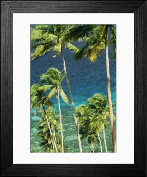 Framed Print : Picture No. 10767071 Framed Print : Picture No. 10767071