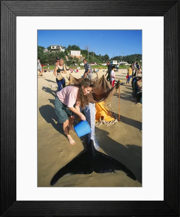 Framed Print : Picture No. 10767068 Framed Print : Picture No. 10767068