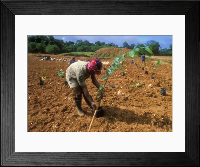 Framed Print : Picture No. 10767160 Framed Print : Picture No. 10767160