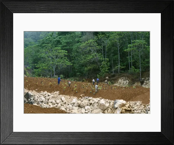 Framed Print : Picture No. 10767161 Framed Print : Picture No. 10767161
