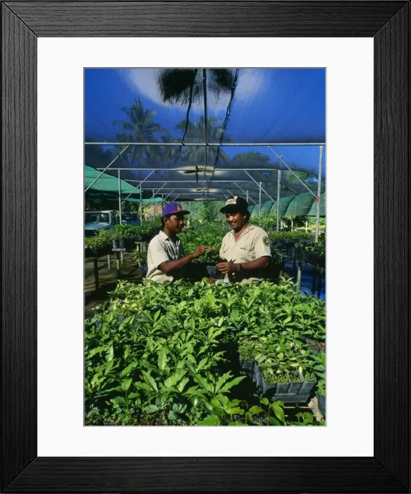 Framed Print : Picture No. 10767162 Framed Print : Picture No. 10767162