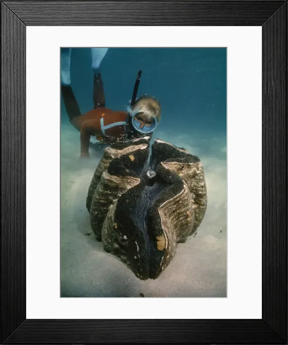 Framed Print : Picture No. 10767184 Framed Print : Picture No. 10767184