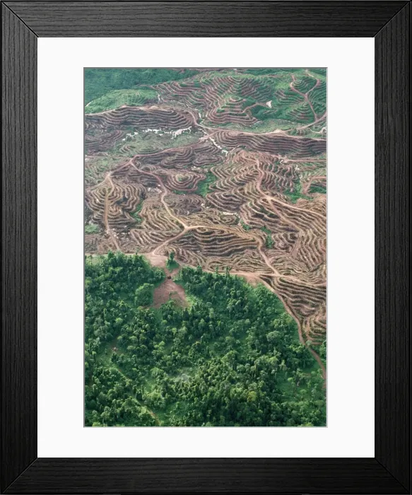 Framed Print : Picture No. 10767099 Framed Print : Picture No. 10767099