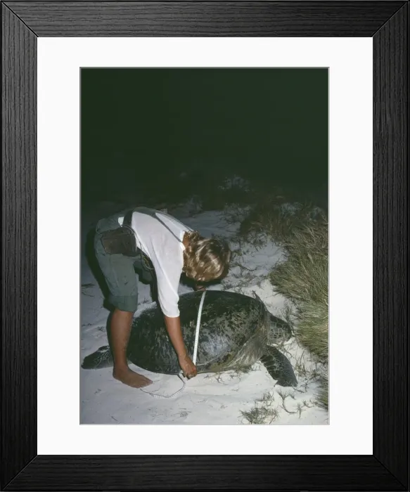 Framed Print : Picture No. 10767234 Framed Print : Picture No. 10767234