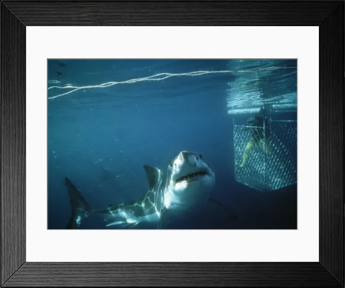 Framed Print : Picture No. 10767251 Framed Print : Picture No. 10767251
