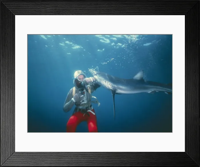 Framed Print : Picture No. 10767236 Framed Print : Picture No. 10767236